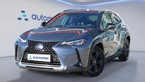 LEXUS UX UX 250h GPF Business Edition 2WD