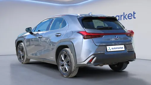 LEXUS UX UX 250h GPF Business Edition 2WD