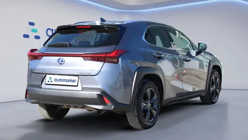 LEXUS UX UX 250h GPF Business Edition 2WD
