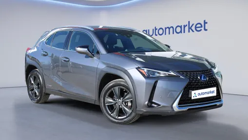 LEXUS UX UX 250h GPF Business Edition 2WD