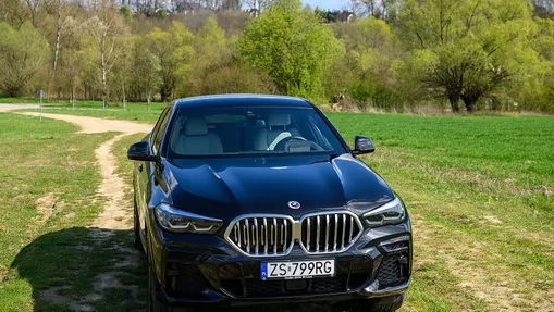 BMW X6 X6 xDrive30d mHEV sport-aut