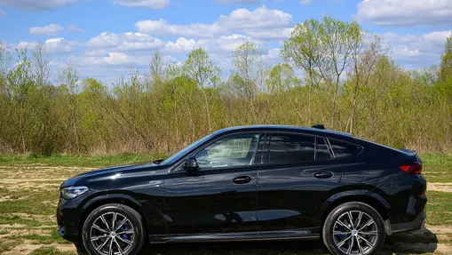 BMW X6 X6 xDrive30d mHEV sport-aut