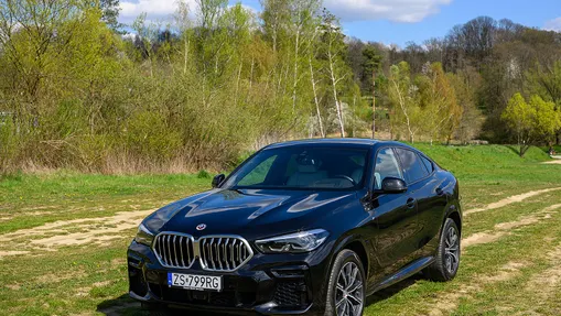 BMW X6 X6 xDrive30d mHEV sport-aut