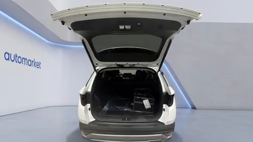 HYUNDAI Tucson Tucson 1.6 T-GDi HEV Platinum 4WD Nowy