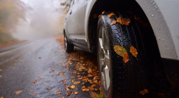 Kupujesz używane auto jesienią? Pogoda może pomóc Ci sprawdzić jego stan