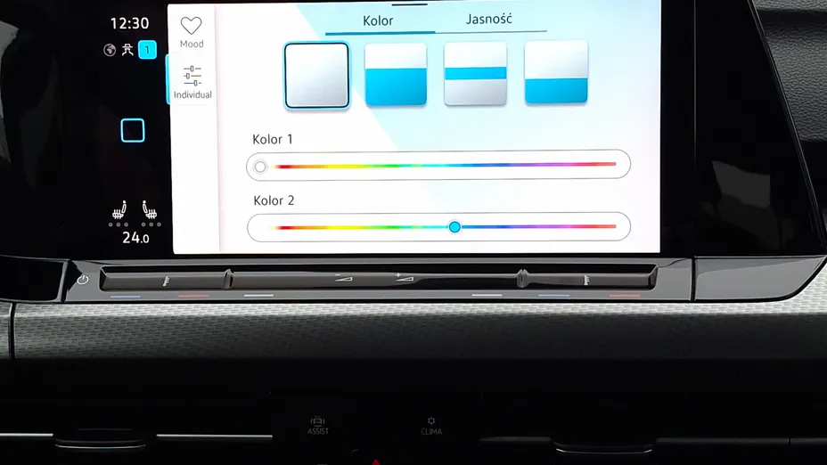 VOLKSWAGEN Golf Golf Alltrack 2.0 TDI 4Mot. DSG