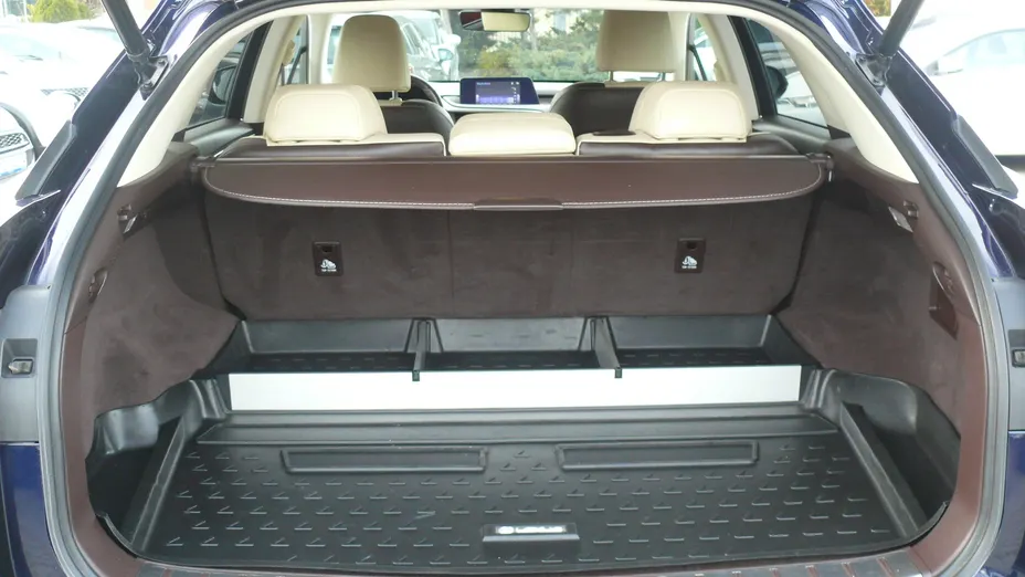 LEXUS RX RX 200t / 300 Elegance