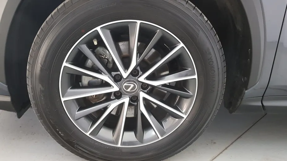 LEXUS NX NX 350h Business AWD