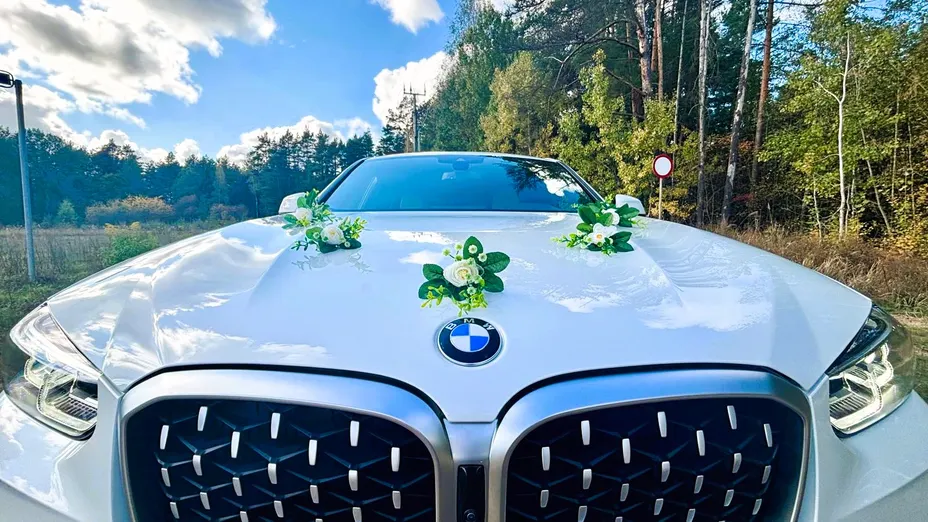 BMW X4 X4 xDrive30i M Sport sport-aut