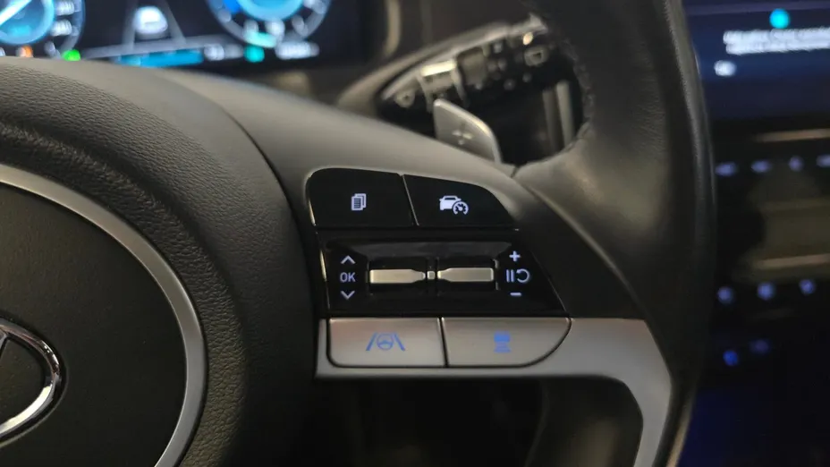 HYUNDAI Tucson Tucson 1.6 T-GDi HEV Platinum 4WD