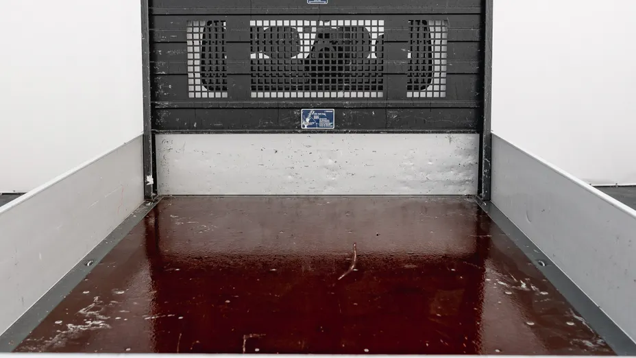 RENAULT Master Master dCi L3 Extra