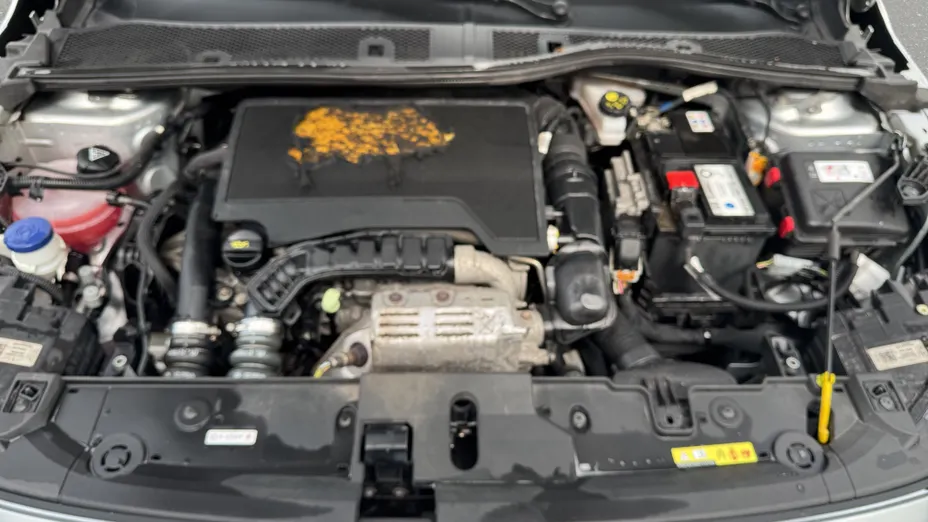 OPEL Corsa Corsa 1.2 Edition S&S
