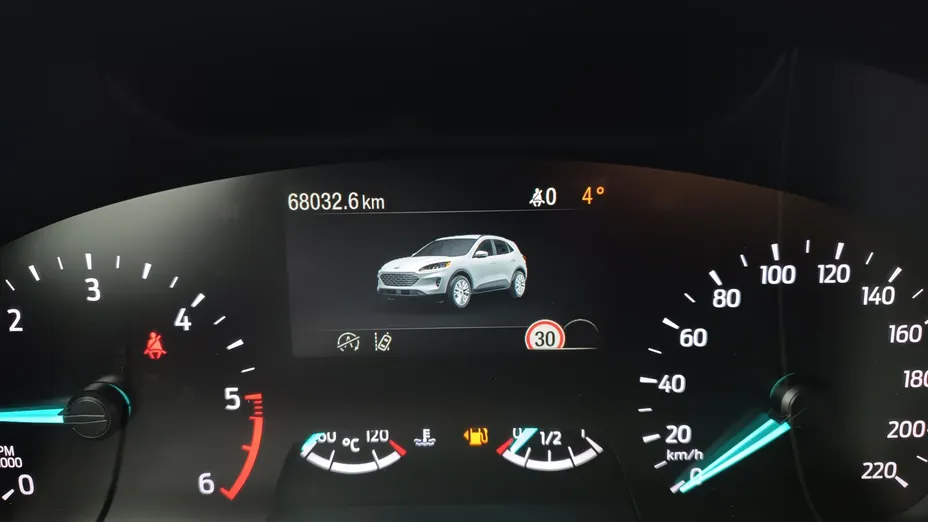 FORD Kuga Kuga 2.0 EcoBlue mHEV FWD Titanium X