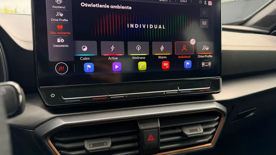 CUPRA Formentor Formentor 2.0 TSI 4Drive VZ DSG