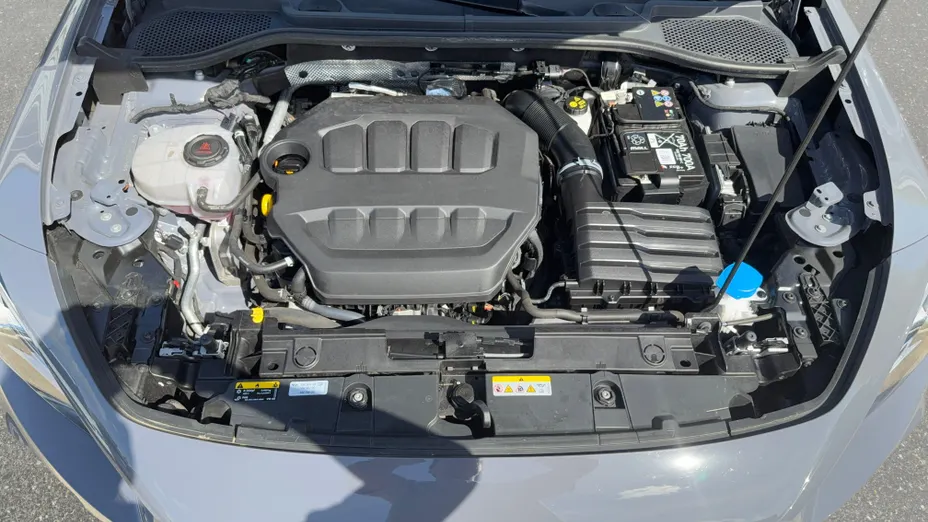 CUPRA Formentor Formentor 2.0 TSI 4Drive VZ DSG