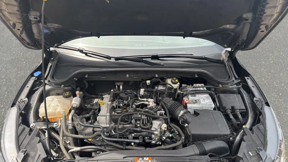 FORD Focus Focus 1.0 EcoBoost mHEV ST-Line X aut