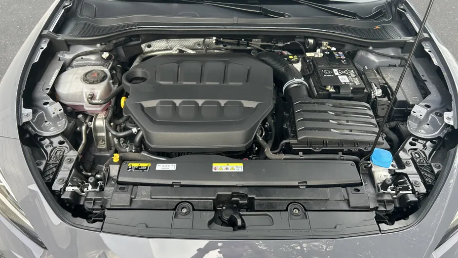 CUPRA Leon Leon 2.0 TSI DSG