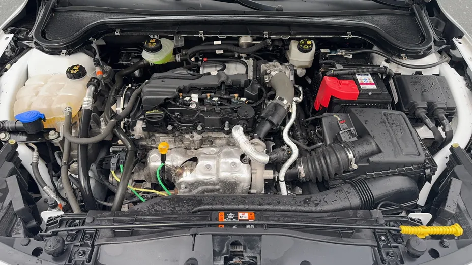 FORD Focus Focus 1.5 EcoBlue Active X aut