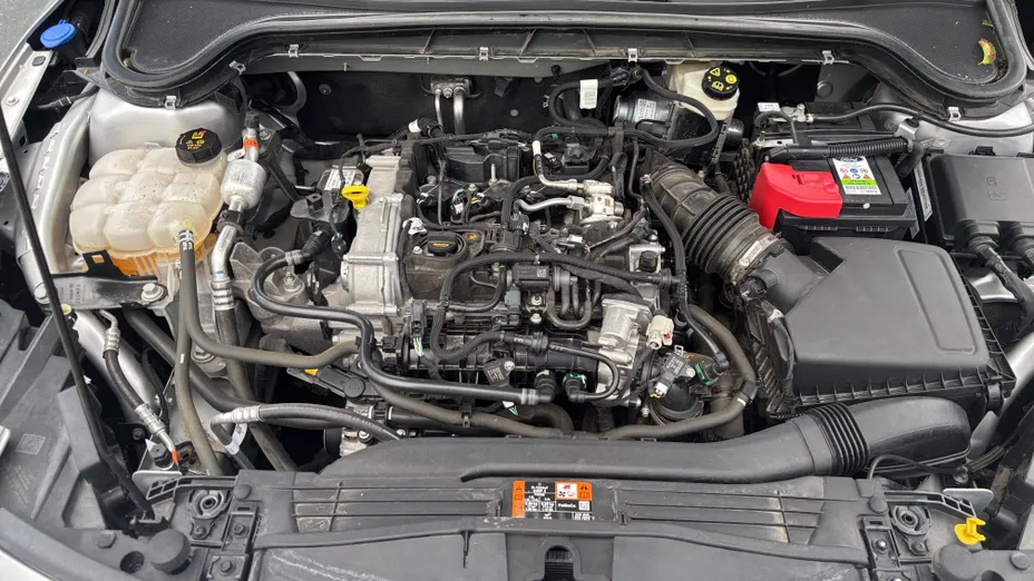 FORD Focus Focus 1.0 EcoBoost mHEV Titanium X aut