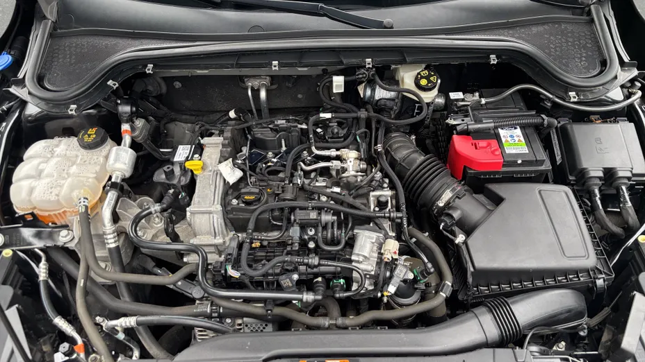 FORD Focus Focus 1.0 EcoBoost mHEV Titanium aut