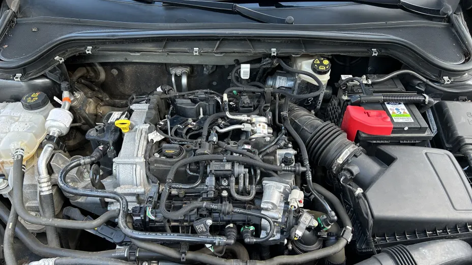 FORD Focus Focus 1.0 EcoBoost mHEV Titanium aut