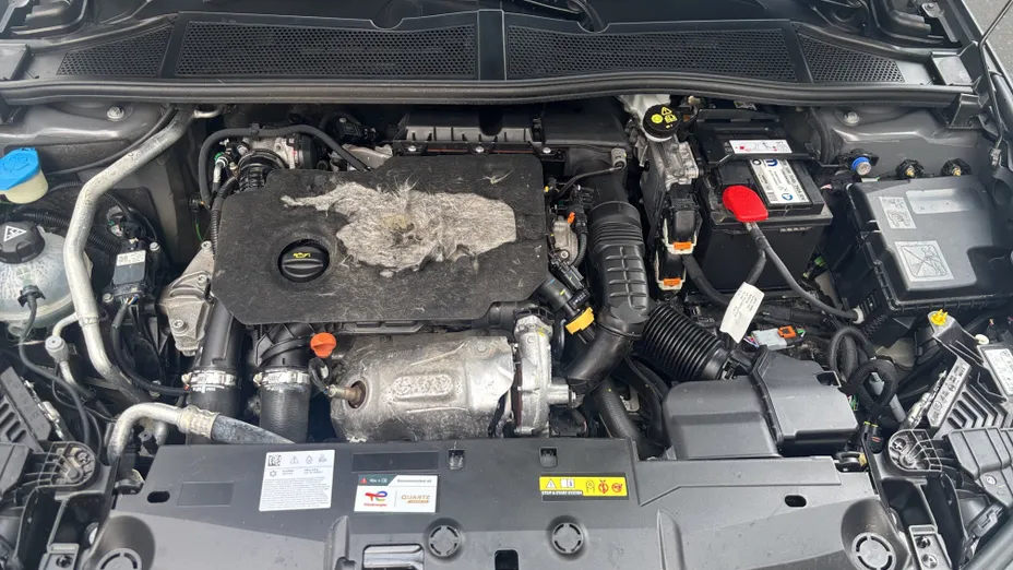 PEUGEOT 308 308 1.5 BlueHDi Allure S&S EAT8