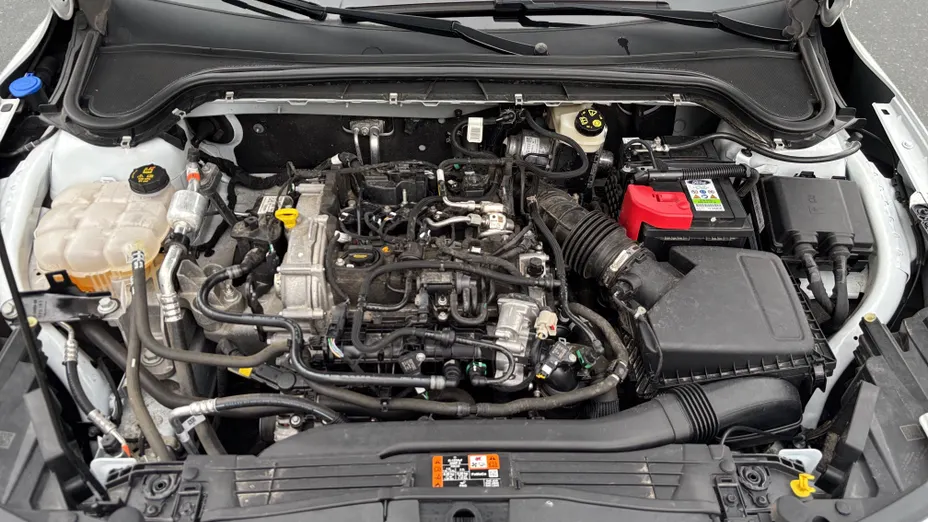 FORD Focus Focus 1.0 EcoBoost mHEV Titanium X aut