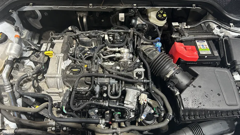 FORD Focus Focus 1.0 EcoBoost mHEV Titanium X aut