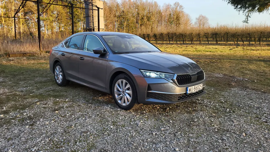 SKODA Octavia Octavia 1.5 TSI mHEV Selection DSG