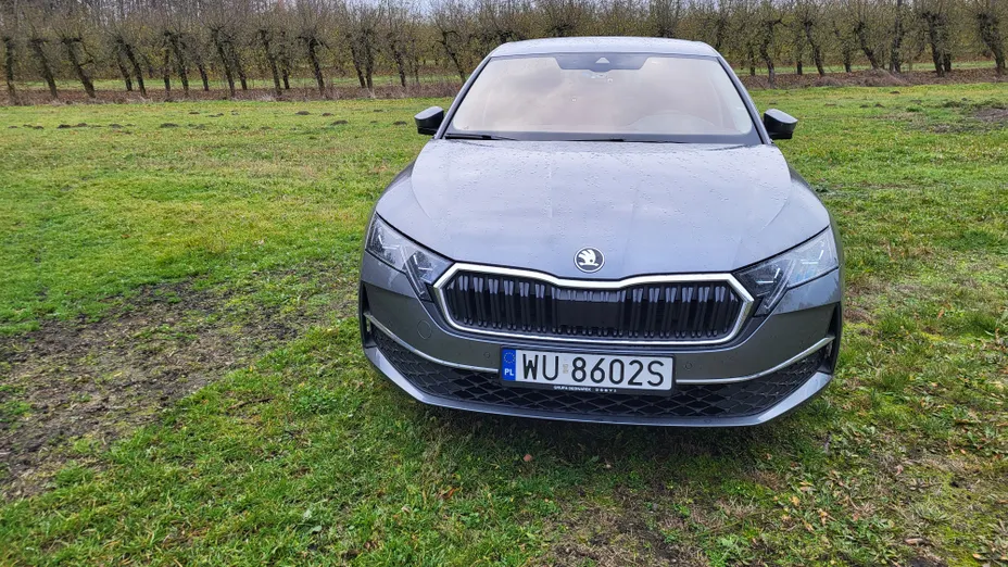 SKODA Octavia Octavia 1.5 TSI mHEV Selection DSG