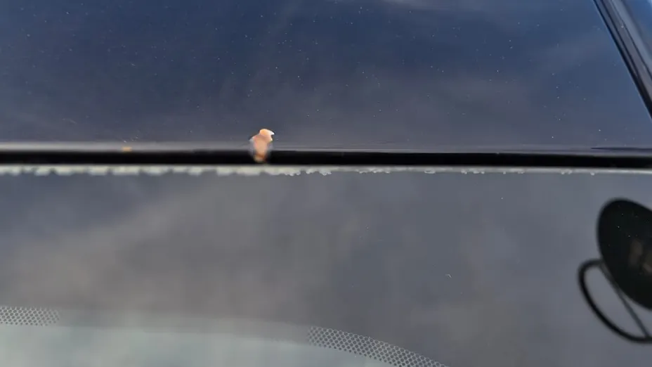 FORD Mondeo Mondeo 1.5 EcoBoost Edition aut