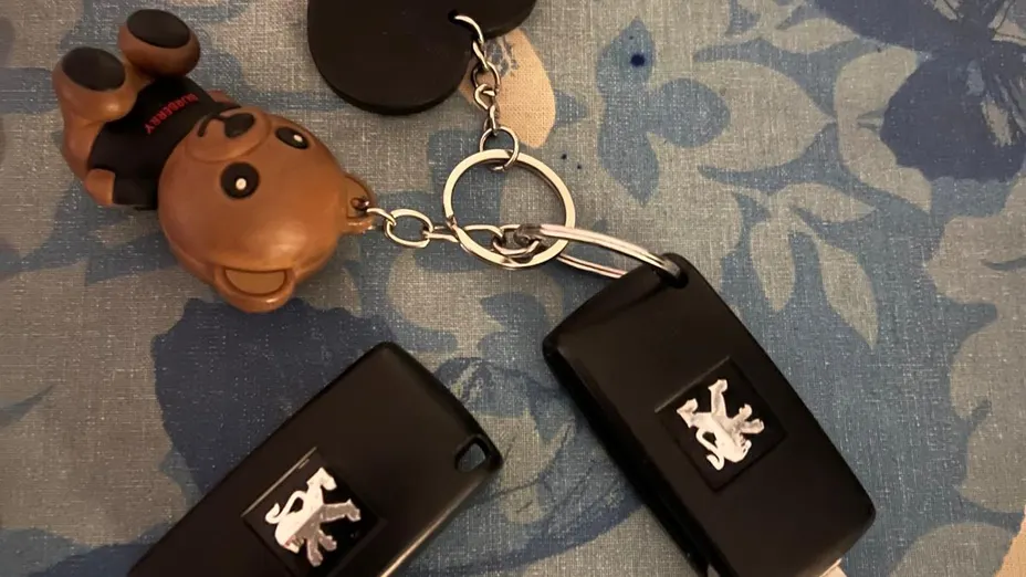 PEUGEOT 3008 3008 1.6 Premium+