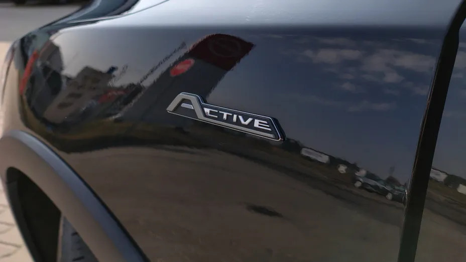 FORD Focus Focus 2.0 EcoBlue Active X aut