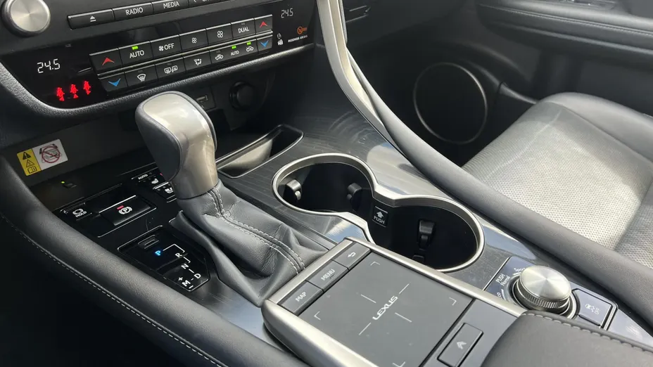 LEXUS RX RX 300 F-Impression