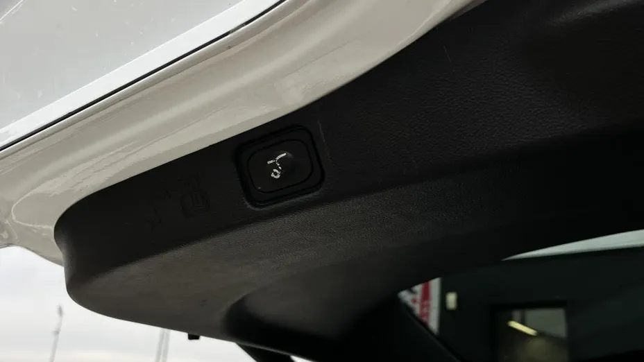 FORD Galaxy Galaxy 2.0 EcoBlue Titanium aut