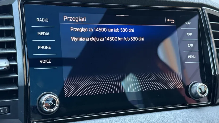 SKODA Karoq Karoq 1.5 TSI ACT Sportline DSG