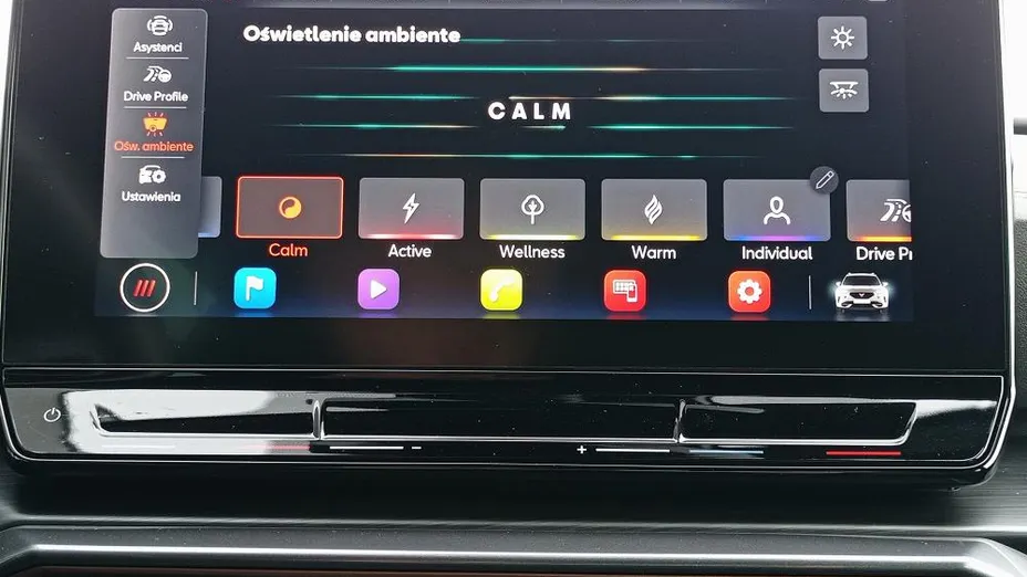 CUPRA Formentor Formentor 2.0 TDI 4Drive DSG