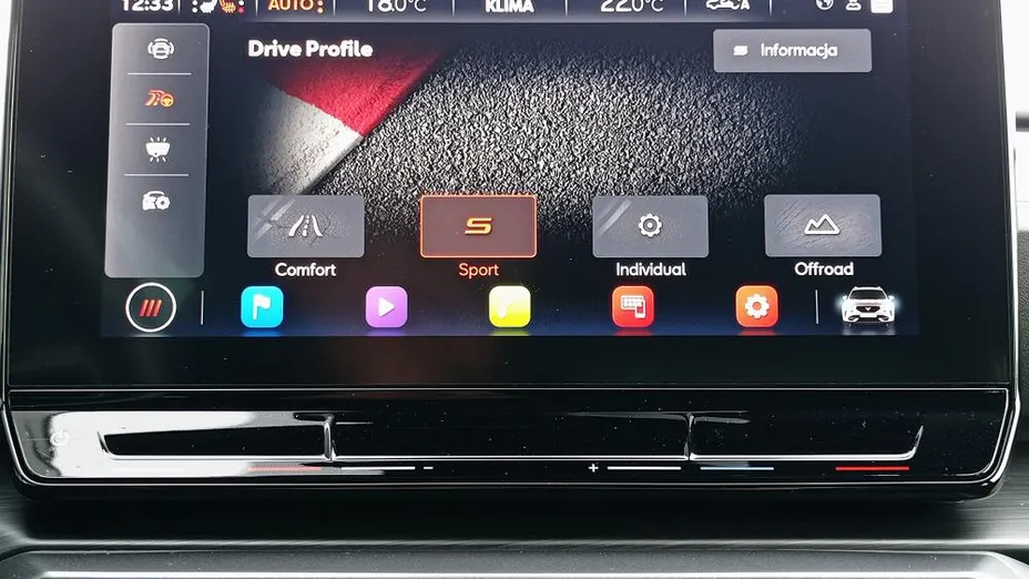 CUPRA Formentor Formentor 2.0 TDI 4Drive DSG