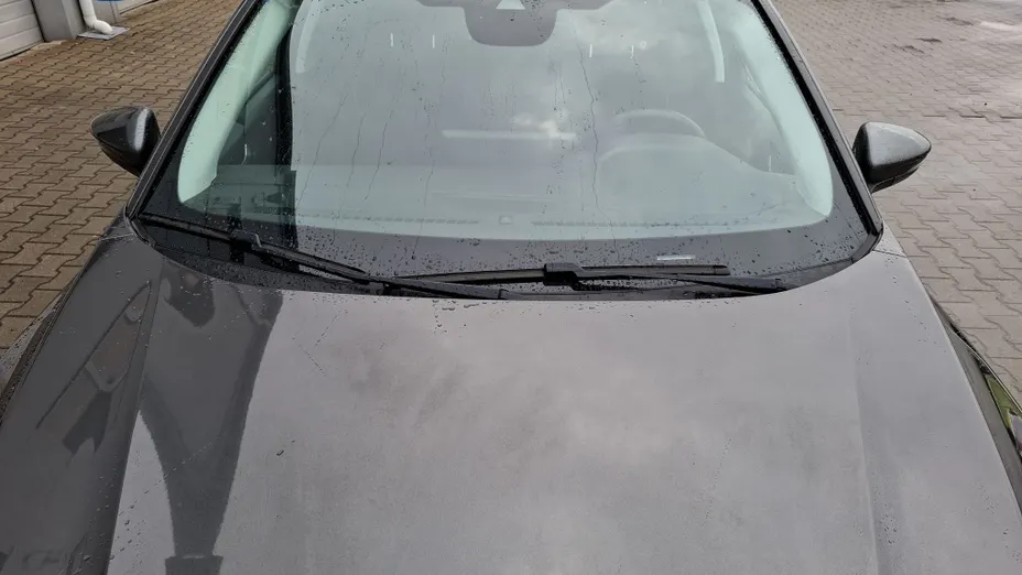 FORD Focus Focus 1.0 EcoBoost mHEV Titanium X aut