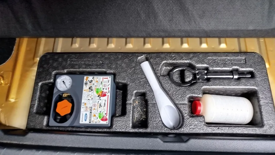 FORD Ecosport Ecosport 1.0 EcoBoost ST-Line ASS