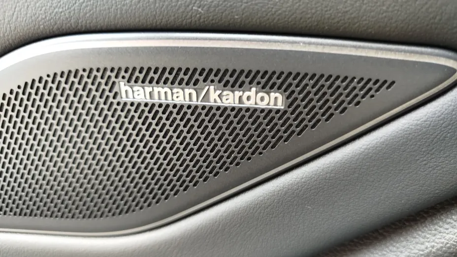VOLKSWAGEN Tiguan Tiguan 2.0 TSI 4Mot. R-Line Plus DSG
