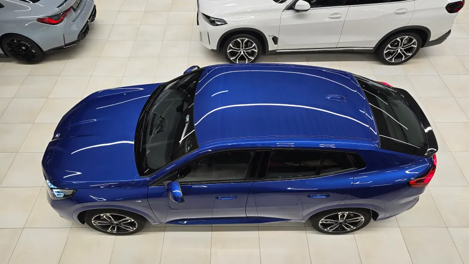 BMW X2 X2 sDrive20i mHEV M Sport aut