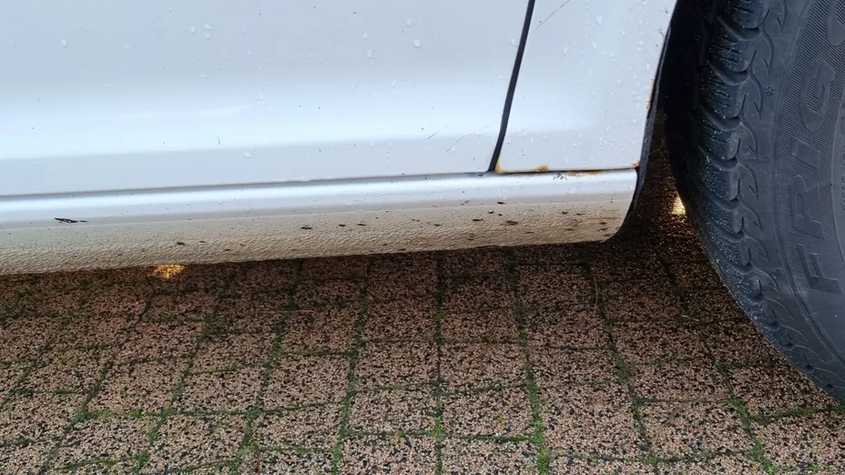 SKODA Octavia Octavia 2.0 TDI Active