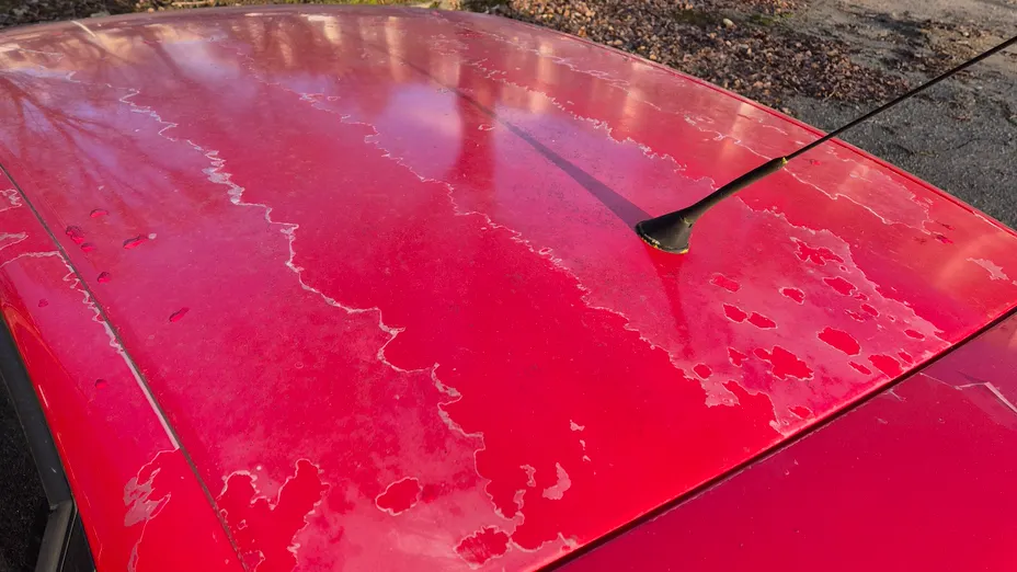 SEAT Ibiza Ibiza 1.4 16V Stella