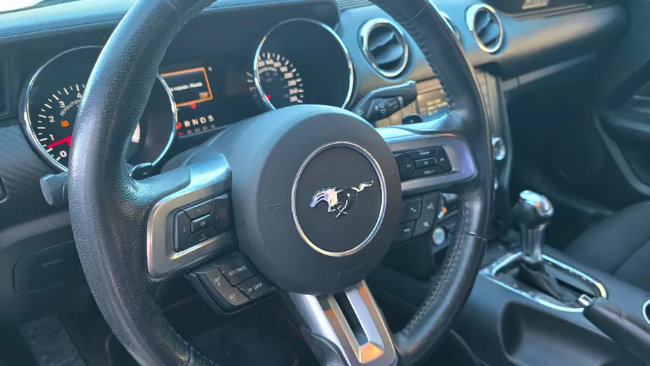 FORD (USA) Mustang Mustang 3.7 V6 aut