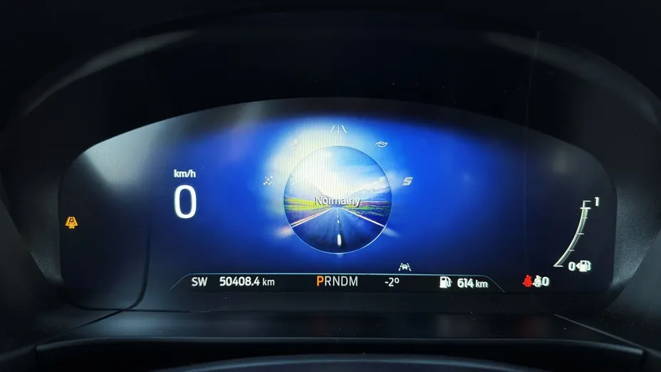 FORD Kuga Kuga 2.0 EcoBlue FWD ST-Line aut