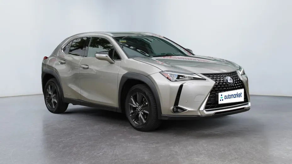 LEXUS UX UX 250h GPF Business Edition 2WD