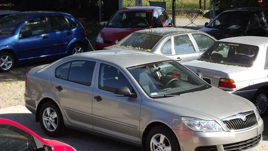 SKODA Octavia -