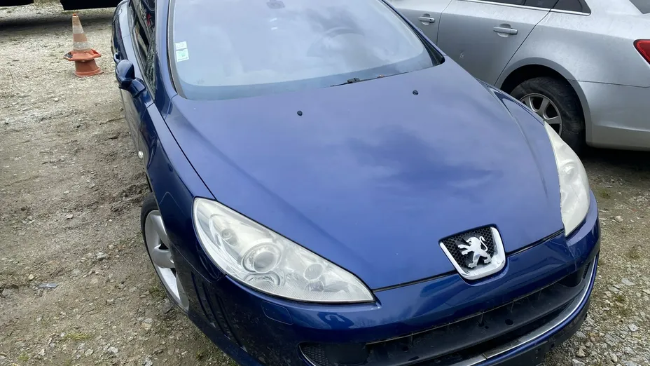 PEUGEOT 407 -