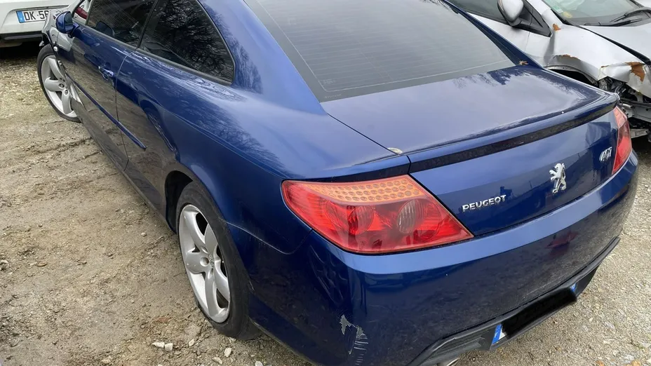PEUGEOT 407 -